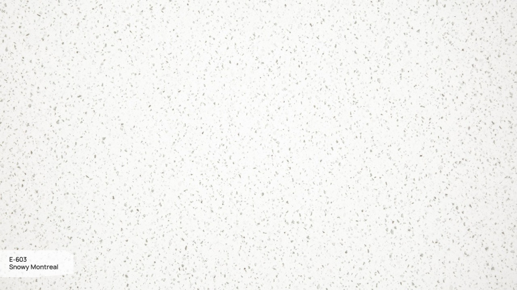 E-603 Snowy Moscow